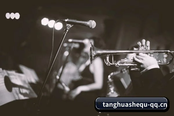 大数据脱水
